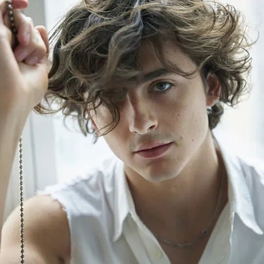 Timothée Chalamet 2