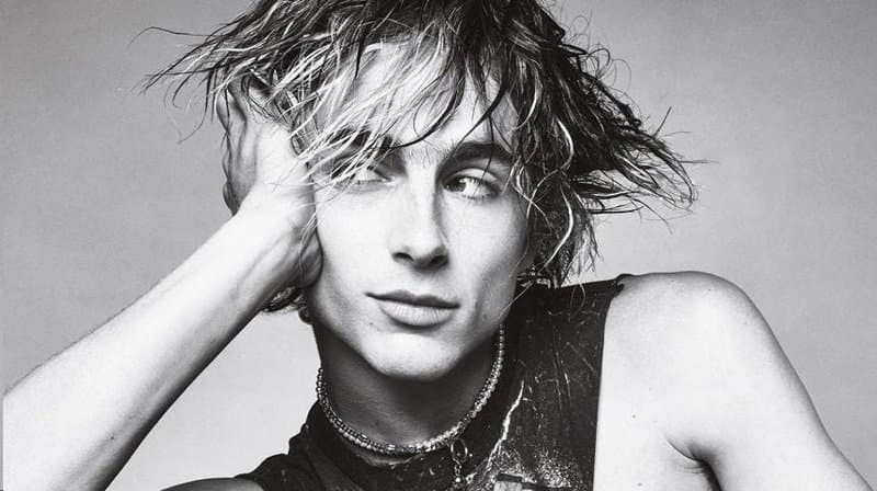 Timothée Chalamet 5