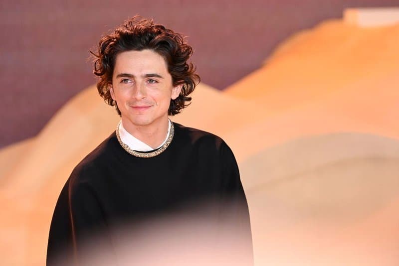 Timothée Chalamet 6